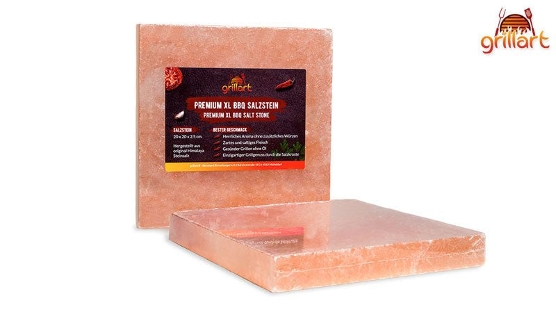 Salzstein zum Grillen kaufen – worauf du achten solltest - grillart®